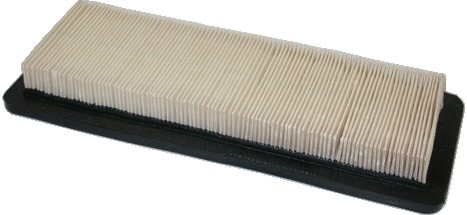 Air Filter (WG1746839)