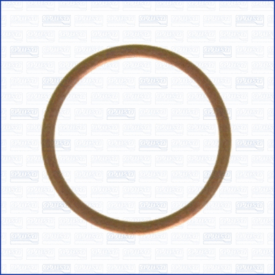 Seal Ring, oil drain plug (WG1451987)