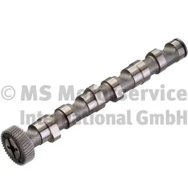 Camshaft (WG1017626)