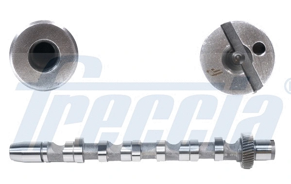 Camshaft (WG1155338)
