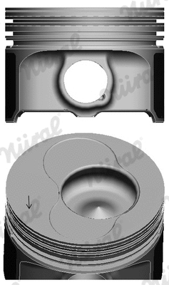 Piston (WG1094077)