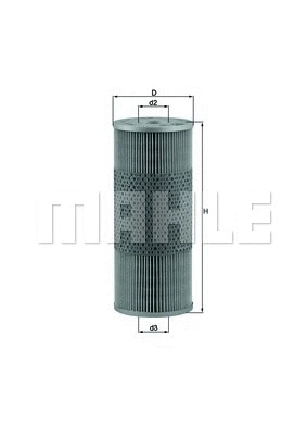 Oil Filter (WG1217448)