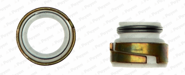 Seal Set, valve stem (WG1181236)