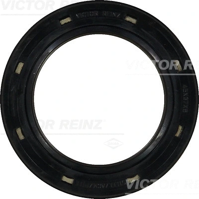 Shaft Seal, crankshaft (WG1103925)