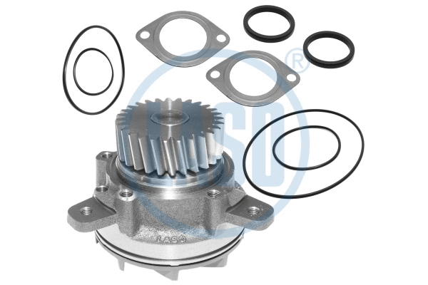 Water Pump, engine cooling (WG1709935)