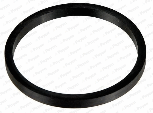 Seal Ring, oil cooler (WG1182993)