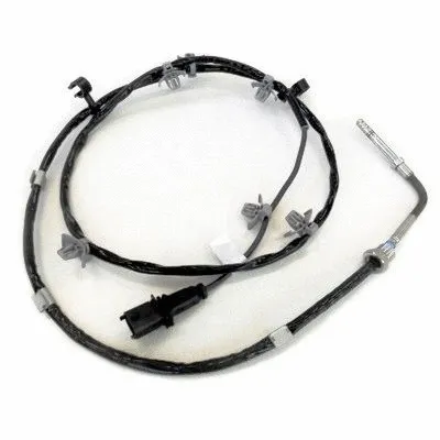 Sensor, exhaust gas temperature (WG1748781)