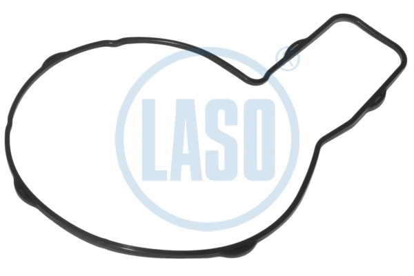 Gasket, water pump (WG1990497)