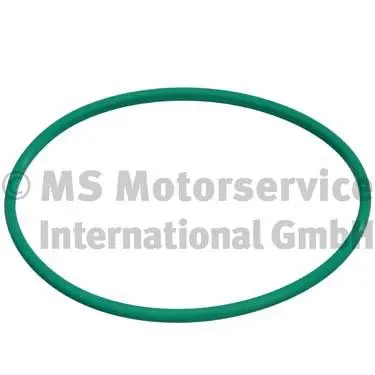 Seal, fuel tank cap (WG1025398)