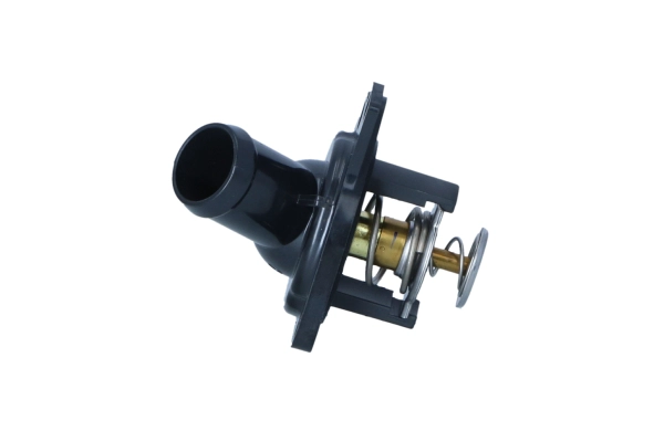 Thermostat, coolant (WG2204598)