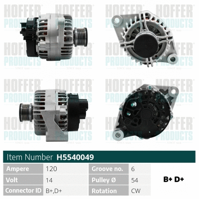 Alternator (WG2196999)