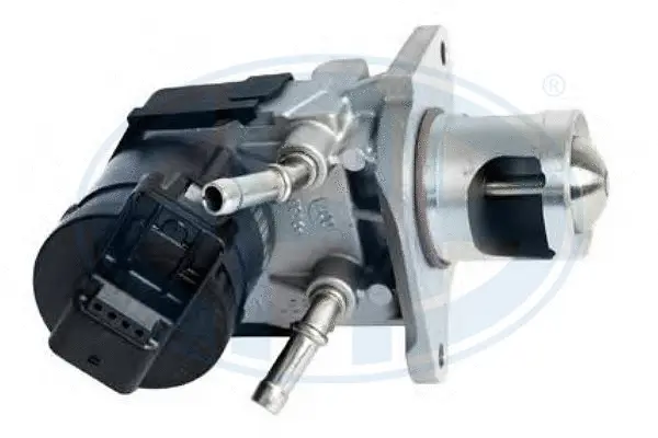 EGR Valve (WG1494659)