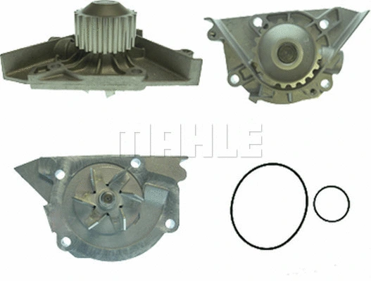 Water Pump, engine cooling (WG2181821)