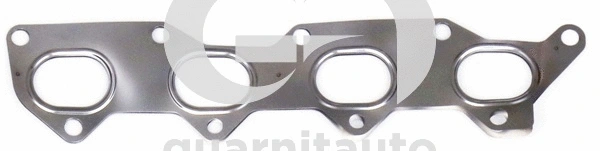 Gasket, exhaust manifold (WG2135034)