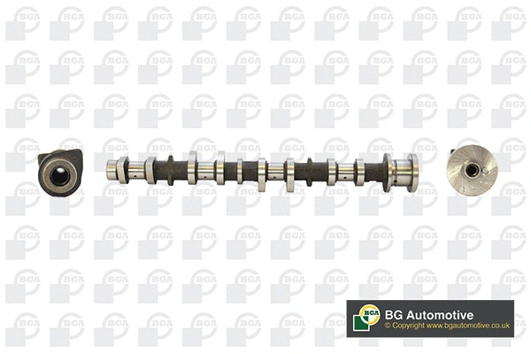 Camshaft (WG1490614)