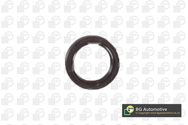 Shaft Seal, camshaft (WG1766096)