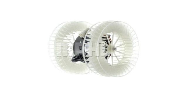 Interior Blower