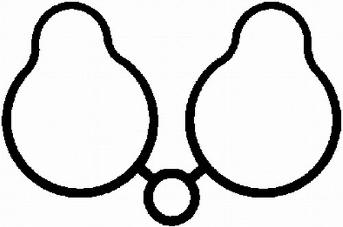 Gasket, intake manifold (WG1764336)