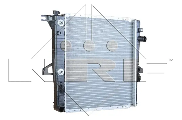 Radiator, engine cooling (WG1723001)