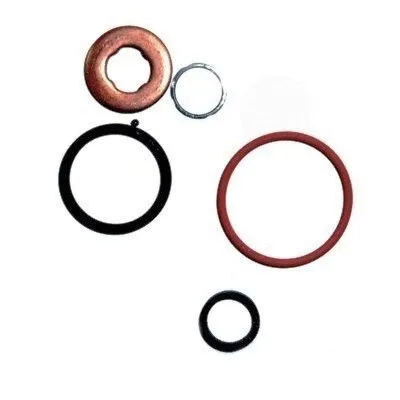 Repair Kit, injection nozzle (WG2263548)