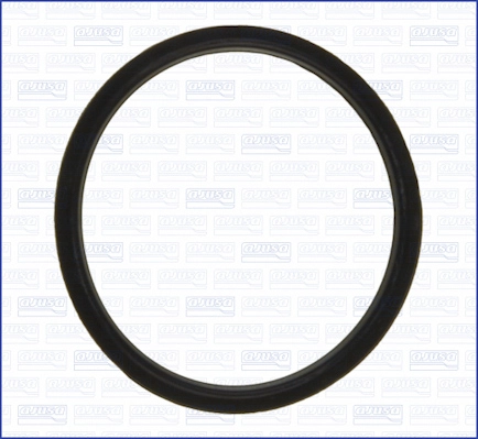 Seal, thermostat (WG2077375)