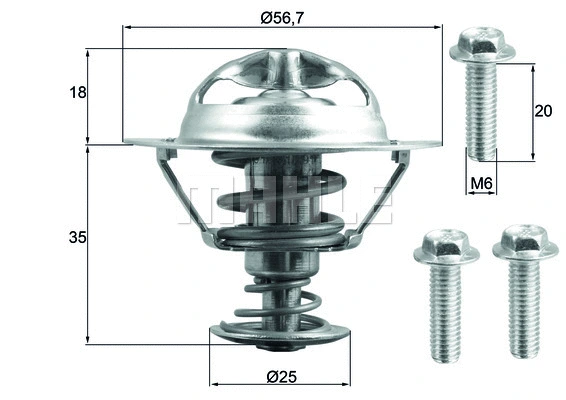 Thermostat, coolant (WG1789696)