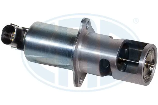 EGR Valve (WG1494599)