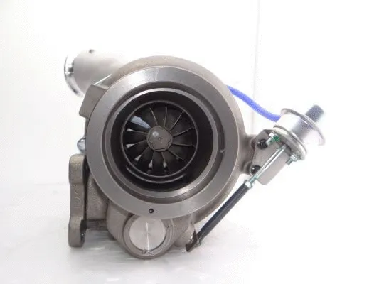 Charger, charging (supercharged/turbocharged)