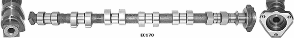 Camshaft (WG1051349)