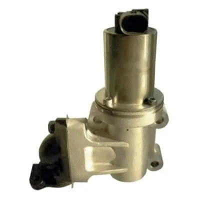 EGR Valve (WG1015287)