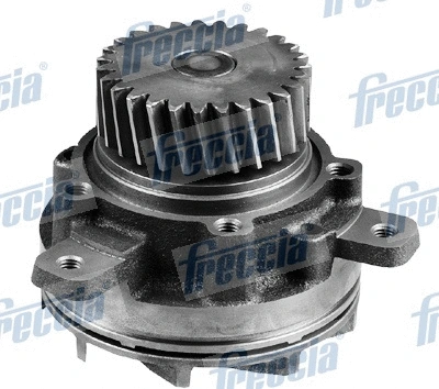 Water Pump, engine cooling (WG1920806)