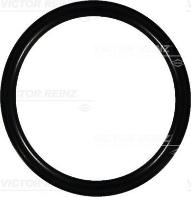 Seal Ring (WG1243567)