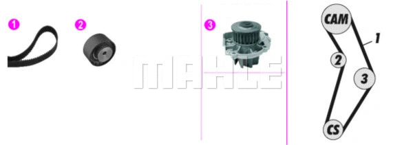 Water Pump & Timing Belt Kit (WG2182133)