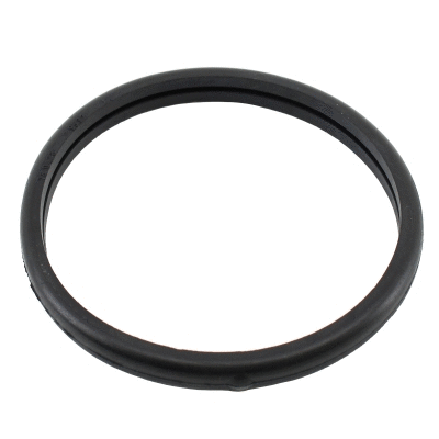 Seal, thermostat (WG2196057)