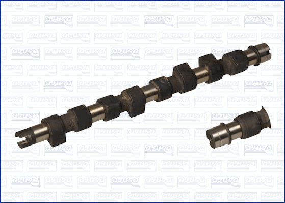 Camshaft (WG1171352)