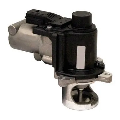 EGR Valve (WG1408720)