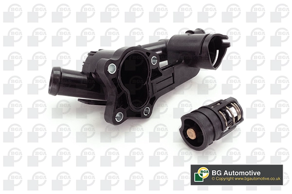 Thermostat, coolant (WG2303964)
