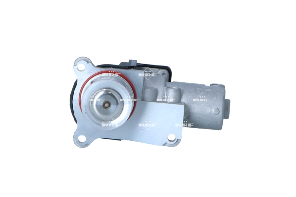 EGR Valve (WG2195409)