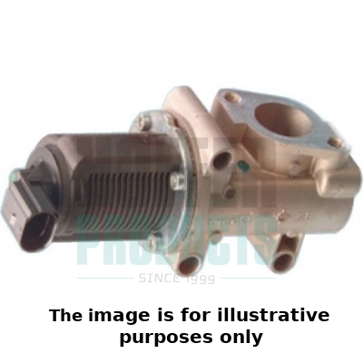 EGR Valve (WG1989972)