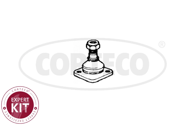 Ball Joint (WG2288248)