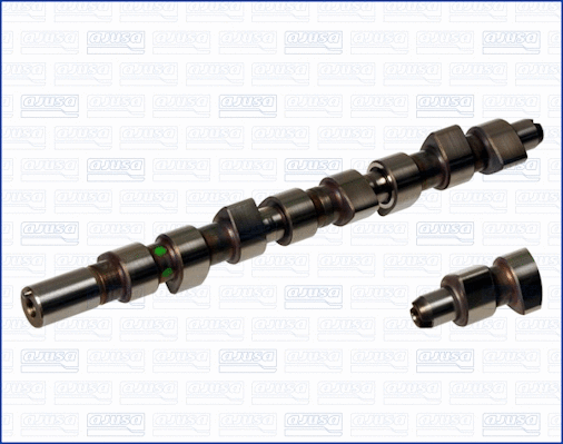 Camshaft (WG1171030)
