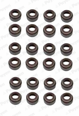 Seal Set, valve stem (WG1181282)