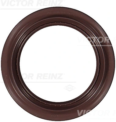 Shaft Seal, crankshaft (WG1910826)