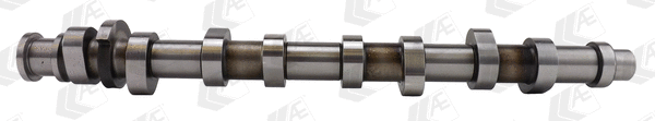 Camshaft (WG1171952)