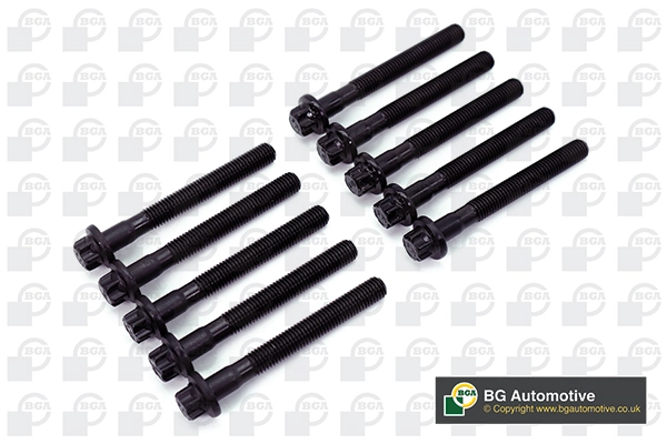Cylinder Head Bolt Set (WG1490142)