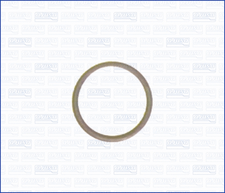 Seal Ring, oil drain plug (WG1452006)