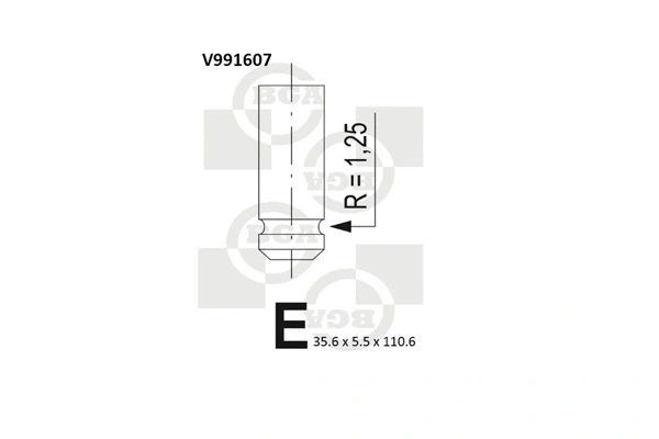 Intake Valve (WG1491566)