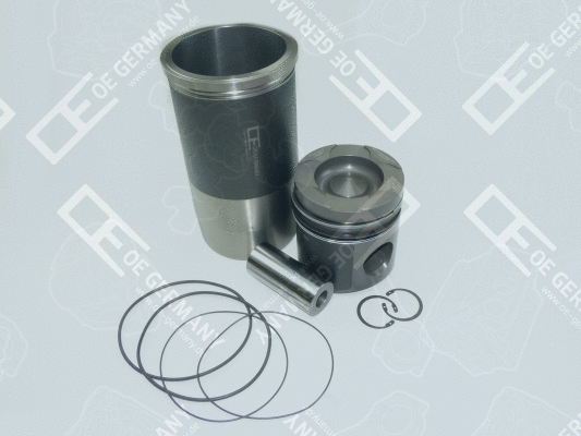 Repair Set, piston/sleeve (WG1485164)
