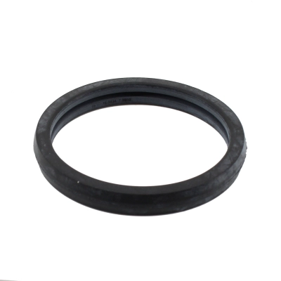 Seal, thermostat (WG2193971)