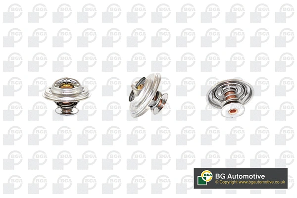 Thermostat, coolant (WG1760492)